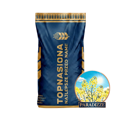Rzepak ozimy RGT PARADIZZE